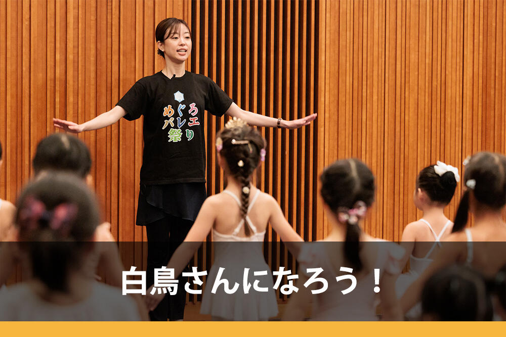 白鳥さんになろう！